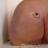 discared